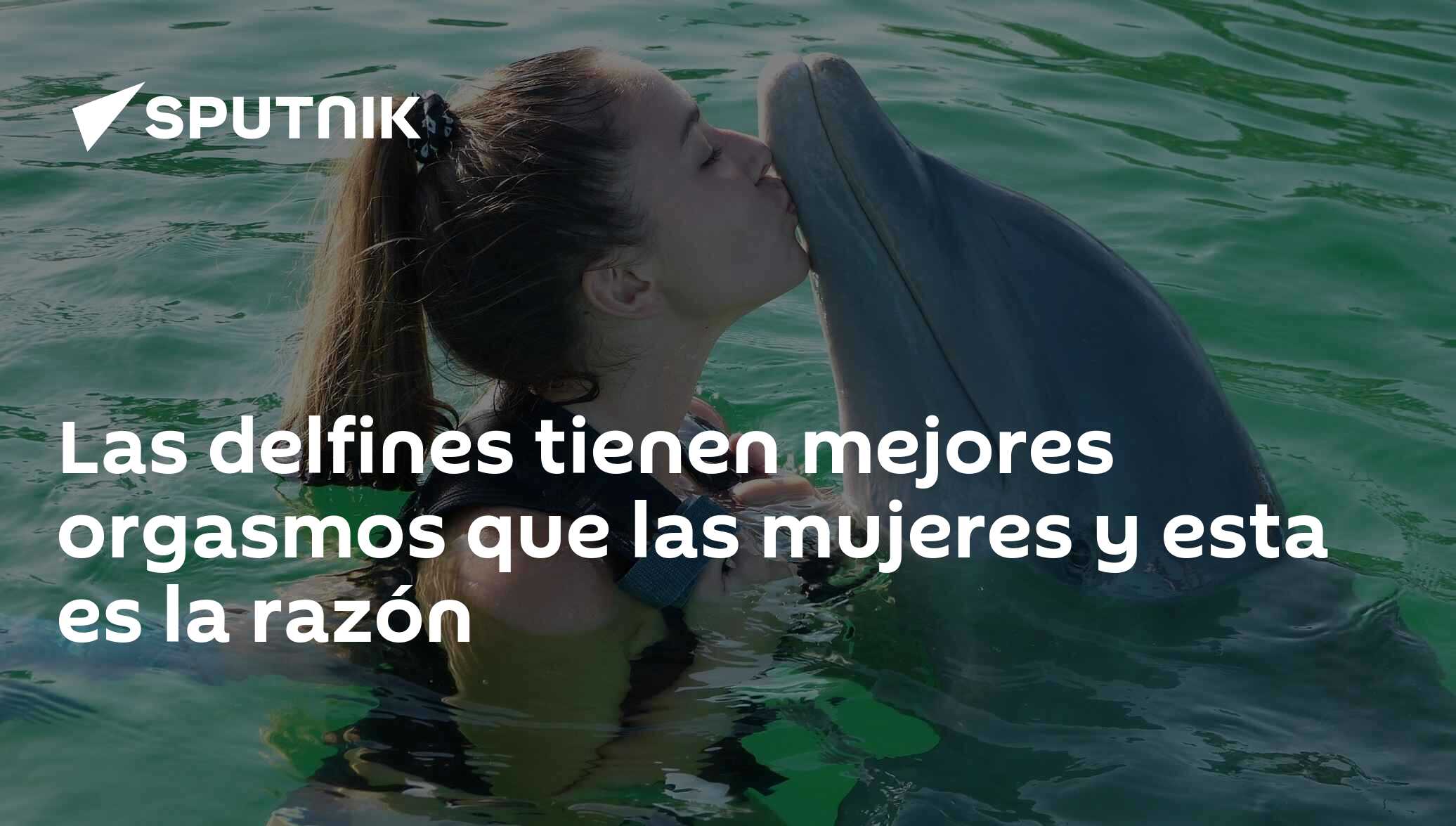 Las delfines tienen mejores orgasmos que las mujeres y esta es la razón -  10.04.2019, Sputnik Mundo