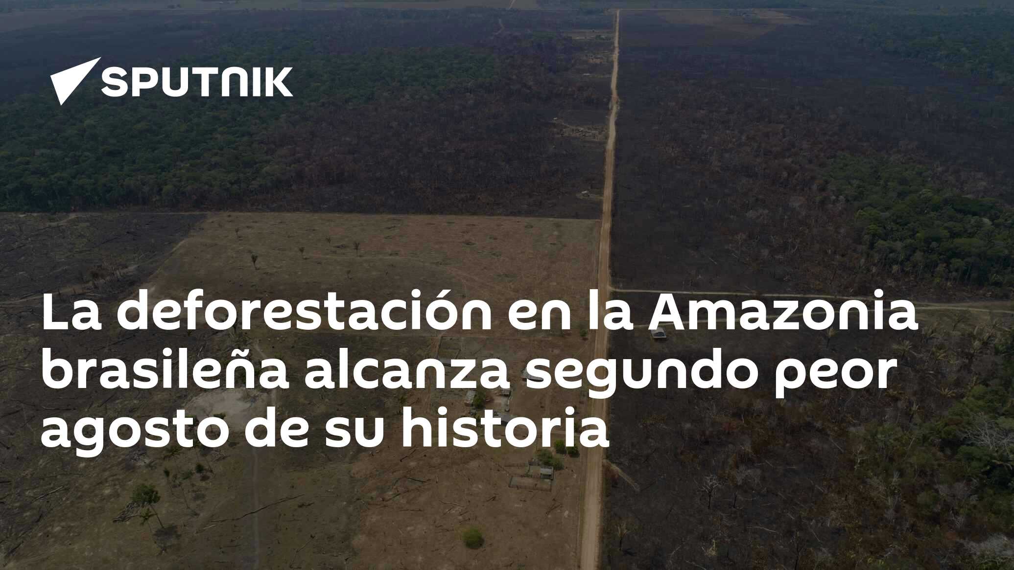 La Deforestación En La Amazonia Brasileña Alcanza Segundo Peor Agosto De Su Historia 1109 7725