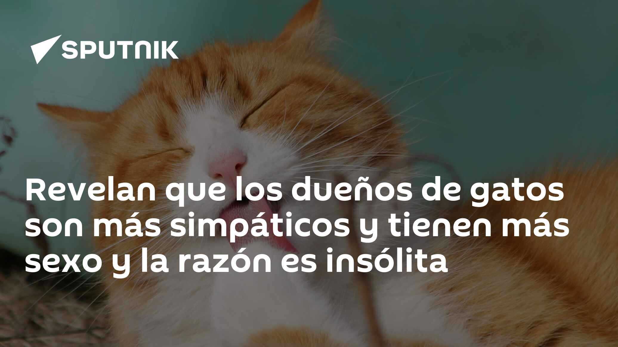 Revelan que los dueños de gatos son más simpáticos y tienen más sexo y la  razón es insólita - 03.04.2022, Sputnik Mundo