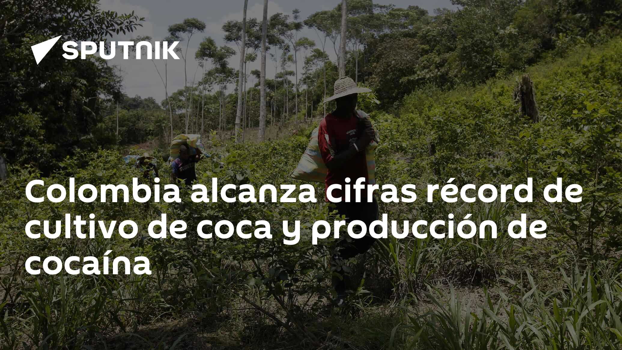 Colombia Alcanza Cifras Récord De Cultivo De Coca Y Producción De Cocaína 12092023 Sputnik 3932