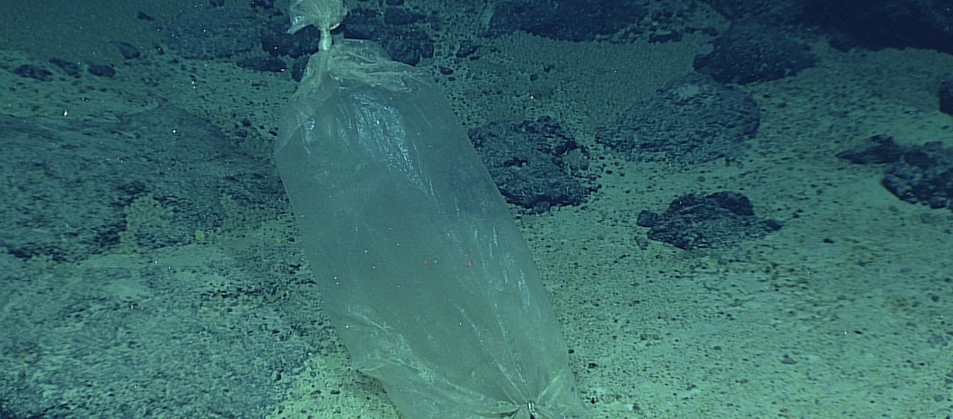 Una bolsa de plástico en el mar - Sputnik Mundo, 1920, 26.07.2020