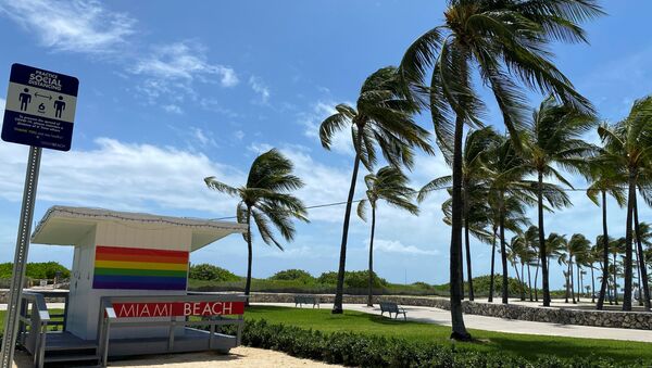 Palemeras bajo un viento fuerte en una playa de Miami - Sputnik Mundo