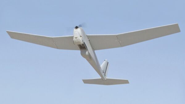 RQ-20, dron espía de fabricación estadounidense - Sputnik Mundo