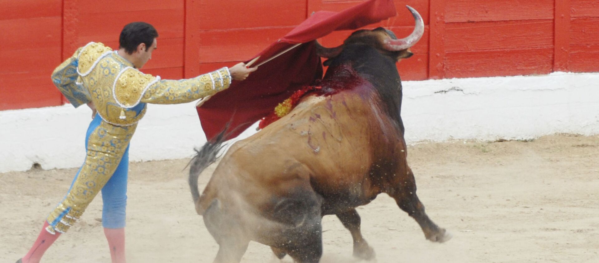 El torero Enrique Ponce toreando en la Plaza de Toros de Melilla (2011) - Sputnik Mundo, 1920, 07.08.2020