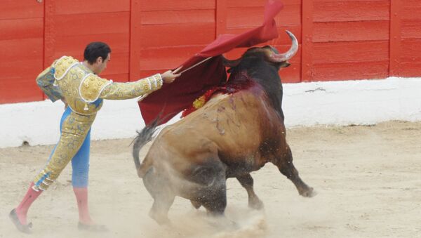El torero Enrique Ponce toreando en la Plaza de Toros de Melilla (2011) - Sputnik Mundo