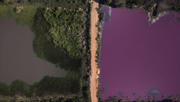 Contaminación de la laguna Cerro, Paraguay - Sputnik Mundo