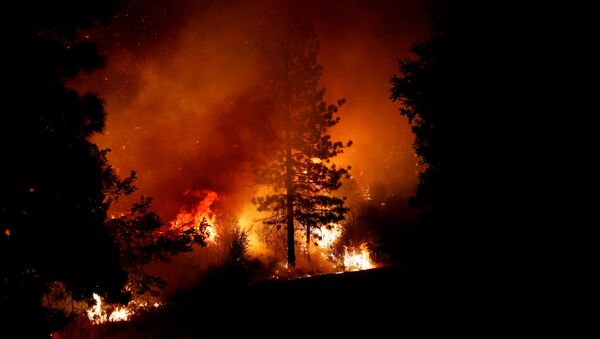 Incendios forestales en California el 8 de septiembre de 2020 - Sputnik Mundo