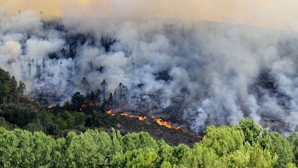 Incendio producido en Galicia en 2012 (referencial) - Sputnik Mundo