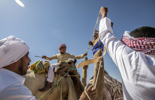 Así son las carreras de camellos en Egipto

 - Sputnik Mundo