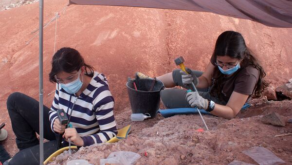 Paleontólogas trabajando en la excavación de Loarre (Huesca) - Sputnik Mundo