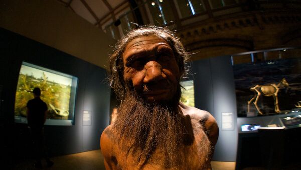 Un neandertal (imagen referencial) - Sputnik Mundo