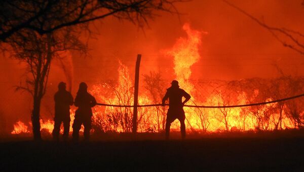 Incendios forestales en la provincia de Córdoba, Argentina - Sputnik Mundo