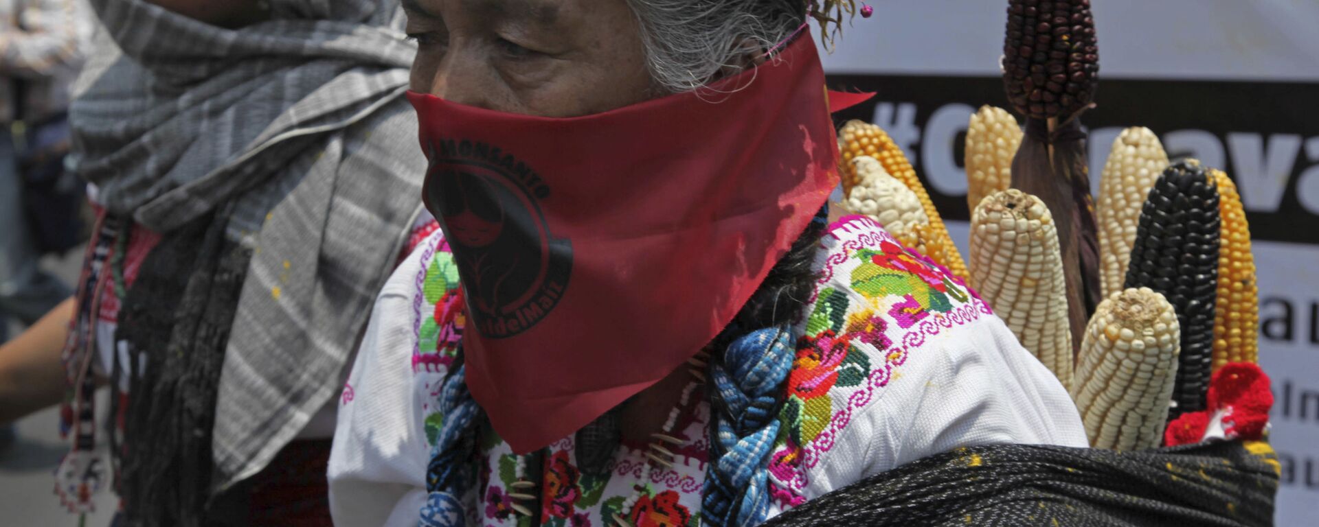 Mujer rural mexicana durante la protesta contra Monsanto - Sputnik Mundo, 1920, 31.10.2020