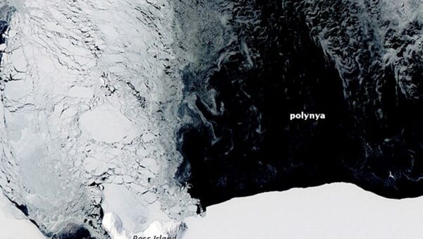Agujero en el hielo de la Antártida - Sputnik Mundo