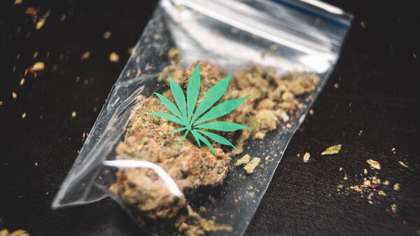 Una bolsa con cannabis (imagen referencial) - Sputnik Mundo