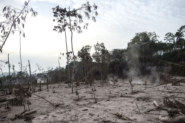 El rastro de destrucción dejado por la erupción del volcán Semeru en Lumajang, Indonesia. - Sputnik Mundo