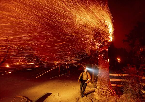 El incendio forestal amenaza a Los Ángeles. Las llamas arden ya a 80 kilómetros de la ciudad. Miles de personas están siendo evacuadas de los alrededores.En la foto: la extinción del incendio en el condado de Orange, en California. - Sputnik Mundo