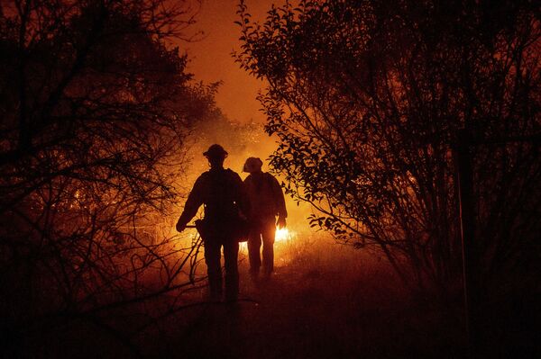 Alrededor de 50.000 hogares se han quedado sin electricidad. Para la noche del viernes 4 de diciembre esta cifra podría aumentar hasta los 270.000.En la foto: los bomberos luchan contra el incendio forestal en el condado de Orange, estado de California. - Sputnik Mundo