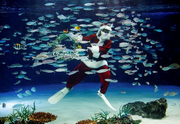 Un buceador se disfraza de Papá Noel en el Sunshine Aquarium de Tokio. - Sputnik Mundo