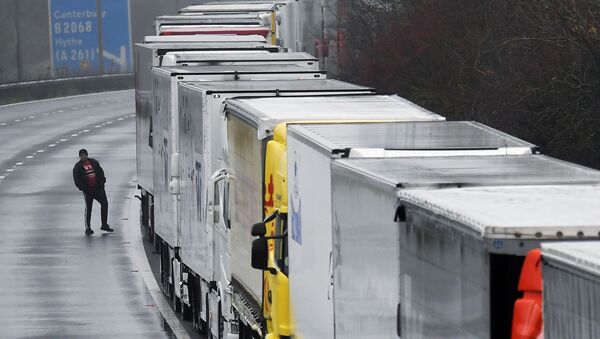 Un camionero durante la caravana cerca del Eurotunel de Folkestone - Sputnik Mundo