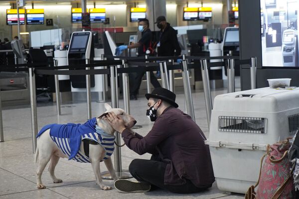 EEUU y China aún no han dejado de realizar vuelos al Reino Unido.En la foto: un turista con su perro en el aeropuerto Heathrow de Londres.   - Sputnik Mundo