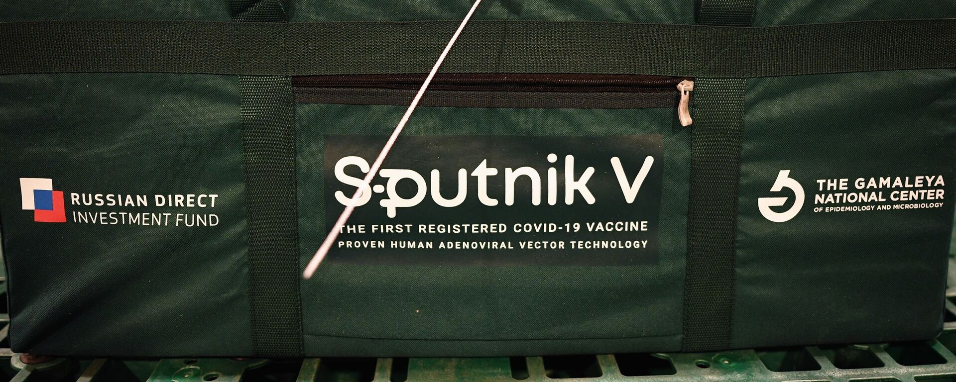 Un contenedor con la vacuna contra el coronavirus Sputnik V - Sputnik Mundo, 1920, 18.02.2021