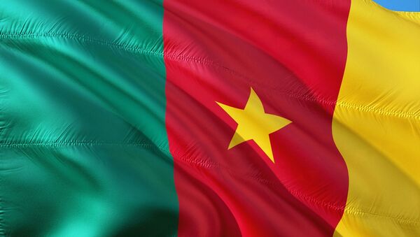 La bandera de Camerún  - Sputnik Mundo