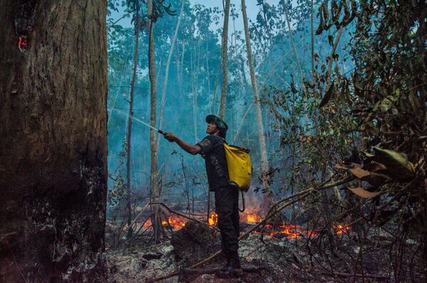 Los incendios naturales en la Amazonía brasileña quemaron un 50% más de bosques en agosto y septiembre que en el mismo período del año 2019. Fue destruido casi el 30% de Pantanal, la ecorregión pantanal más grande del mundo. El humo de los incendios cubrió las regiones del sur de Brasil y los países vecinos. - Sputnik Mundo