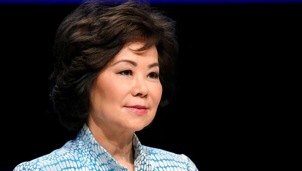 Elaine Chao, ex secretaria de Transporte de EEUU - Sputnik Mundo