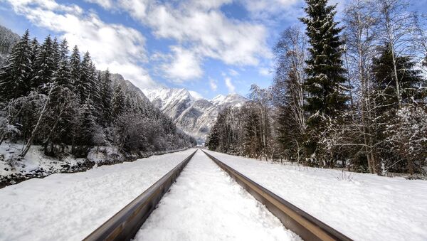 Un ferrocarril en invierno (imagen referencial) - Sputnik Mundo
