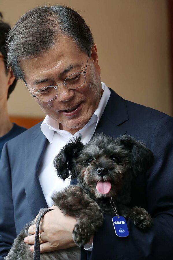 El presidente de la República de Corea, Moon Jae-In, con su perro, Tory, que adoptó de un refugio en el 2017. El líder surcoreano también tiene un perro de caza llamado Maru y un gato, también sacado de un refugio.   - Sputnik Mundo