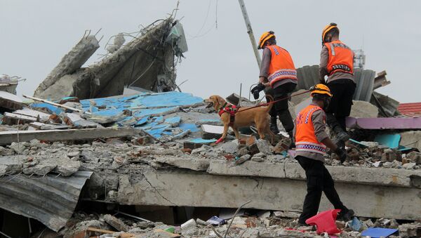 Consecuencias del terremoto en Indonesia - Sputnik Mundo