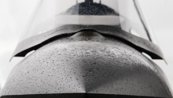 Llluvia cae sobre la nariz del caza F-35 - Sputnik Mundo