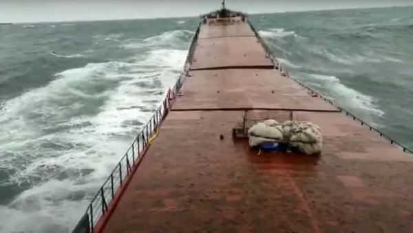 El momento del naufragio del carguero ucraniano Arvin - Sputnik Mundo