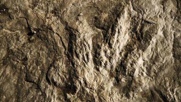 La huella fosilizada de un dinosaurio - Sputnik Mundo
