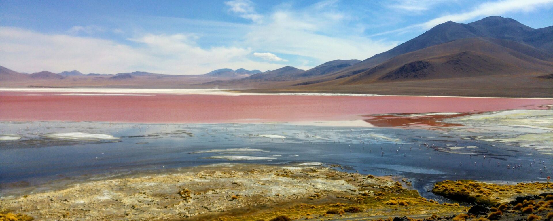 Laguna Colorada, Bolivia - Sputnik Mundo, 1920, 27.01.2023