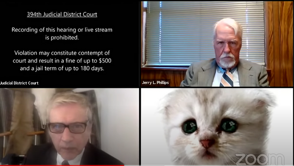 Una audiencia judicial virtual en Zoom en Texas (EEUU), durante la cual un abogado apareció con el filtro de un gato - Sputnik Mundo