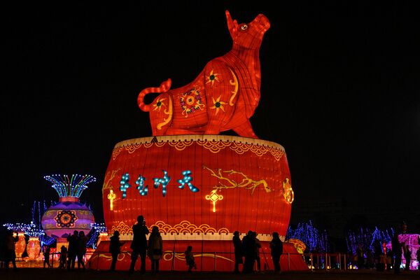 Un farol gigante con forma de toro en el parque de Wuhan, China. - Sputnik Mundo
