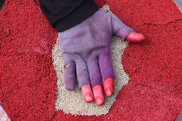 Un obrero vietnamita manipula palitos aromatizantes secos durante los preparativos para las celebraciones del Año Nuevo lunar. - Sputnik Mundo