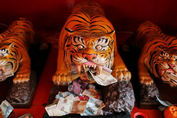 Unos billetes al lado de esculturas de tigres en el templo Dharma Bhakti durante la celebración del Año Nuevo lunar en Yakarta, Indonesia. - Sputnik Mundo