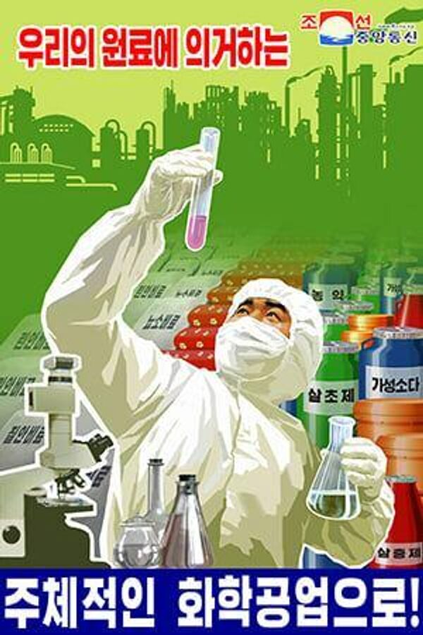 ¡Adelante hacia la industria química Juche basada en materias primas propias!, se lee en un póster en el que se muestra a un científico que sostiene una probeta con una sustancia rosa. - Sputnik Mundo