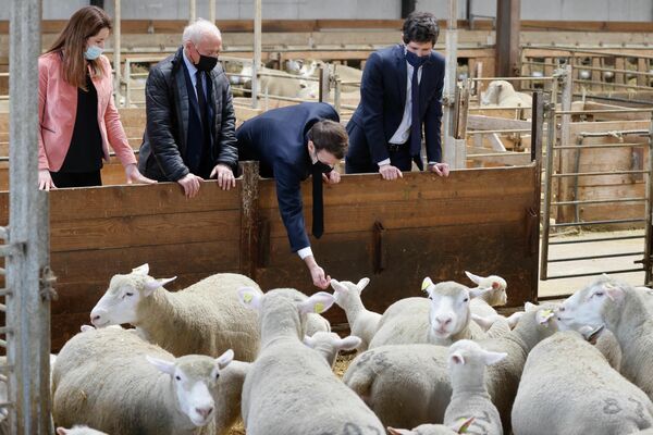 El presidente de Francia, Emmanuel Macron, durante su visita a una granja en Borgoña. - Sputnik Mundo