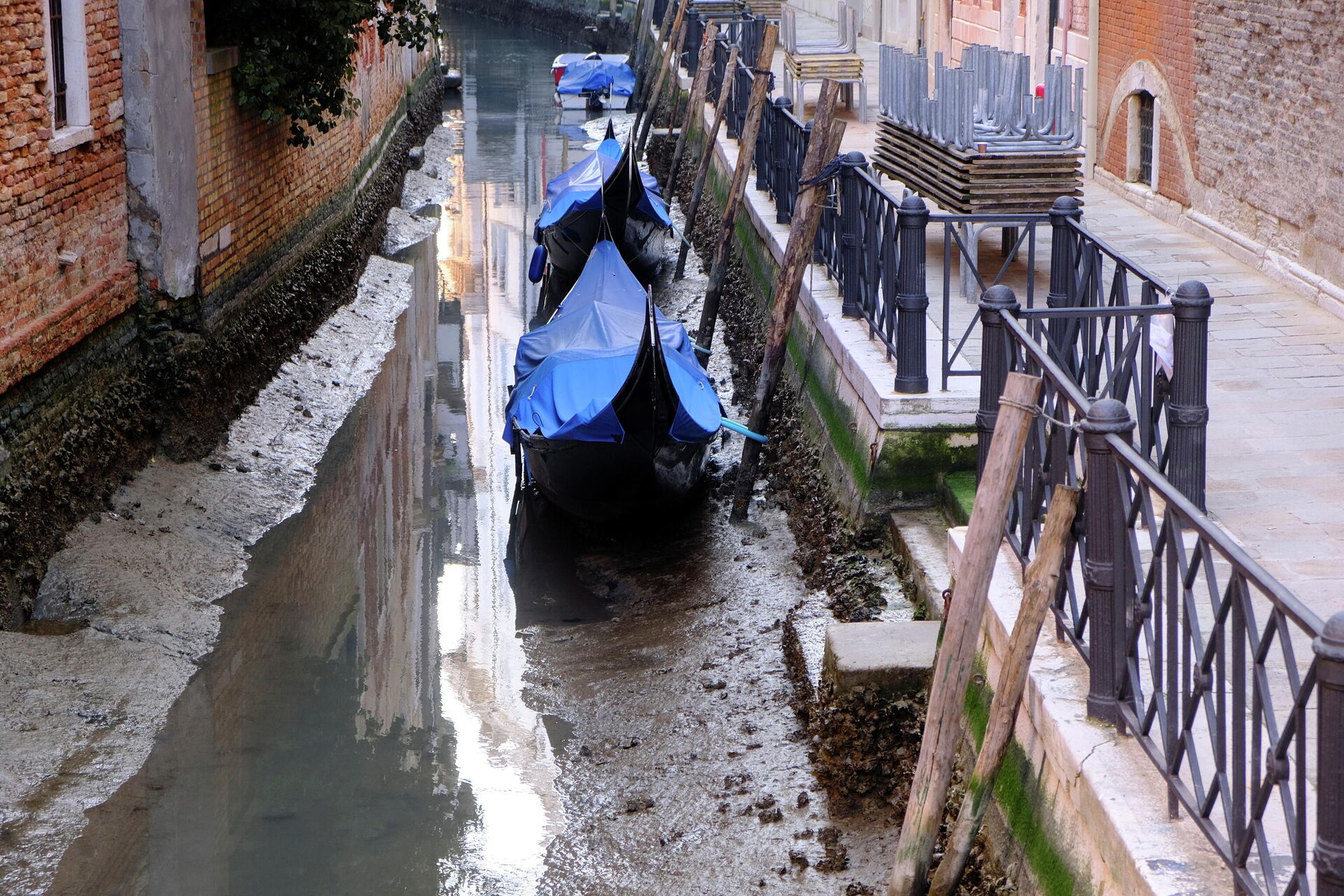Unas góndolas en un canal casi seco durante una marea excepcionalmente baja en Venecia - Sputnik Mundo, 1920, 01.03.2021