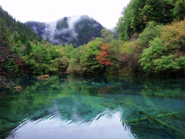 El Parque Nacional Jiuzhaigou, en China, es conocido por sus increíbles lagos y cataratas, así como por sus hermosos picos nevados. Jiuzhaigou es tanto Patrimonio de la Humanidad por la Unesco como Reserva Mundial de la Biosfera. - Sputnik Mundo