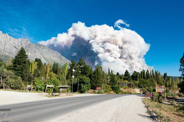 El incendio forestal se produjo el martes 9 de marzo y, debido a los fuertes vientos, se extendió hasta una localidad de Lago Puelo. - Sputnik Mundo