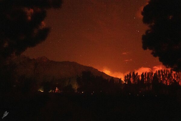 Argentina está siendo azotada por incendios forestales. Las llamas se han extendido por un territorio de casi 2.000 hectáreas. - Sputnik Mundo