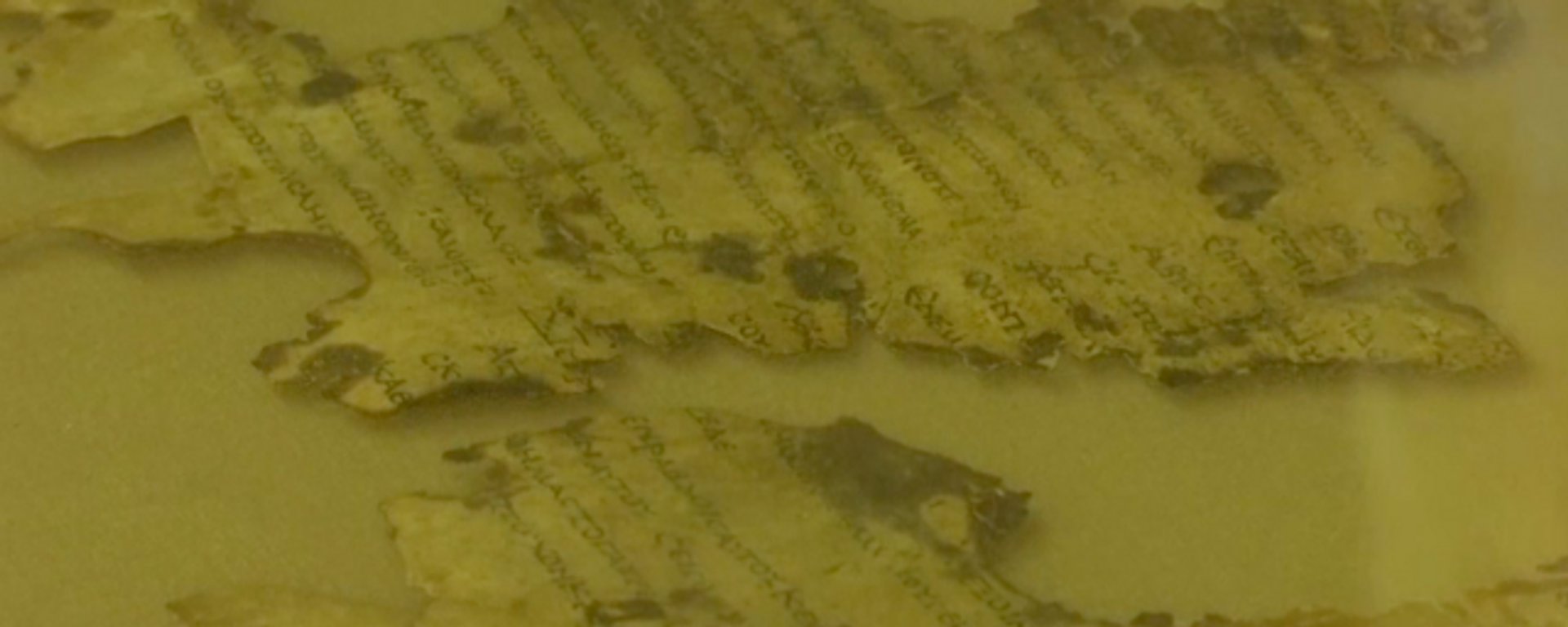 Encuentran fragmentos de los Manuscritos del Mar Muerto en Israel - Sputnik Mundo, 1920, 16.03.2021