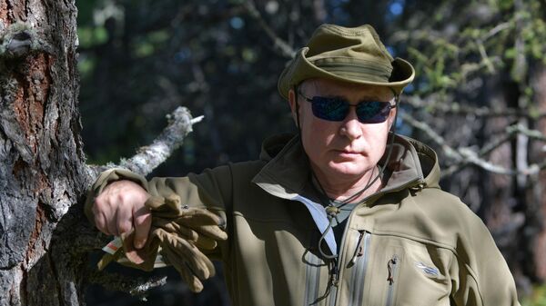 Vladímir Putin, presidente de Rusia en taiga - Sputnik Mundo
