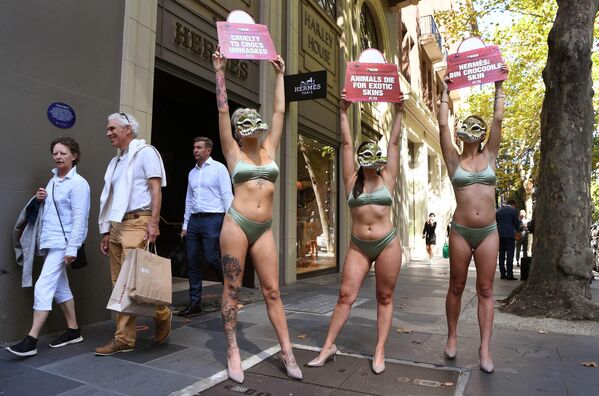 Activistas de la organización Personas por el Trato Ético de los Animales (PETA) frente a la tienda de la marca de moda francesa Hermès en Melbourne, Australia. - Sputnik Mundo