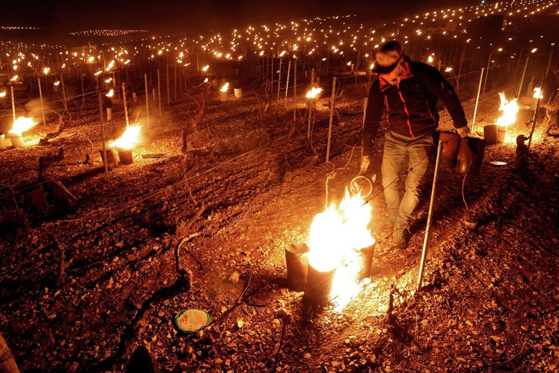 Un viticultor intenta proteger sus viñedos de las heladas en los alrededores del municipio de Chablis, el 7 de abril de 2021 - Sputnik Mundo, 1920, 11.04.2021